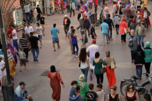 Oikodrom facilitates stakeholder involvement