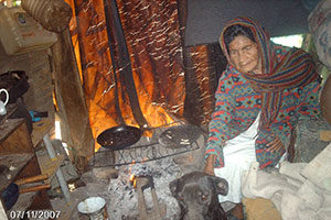 responsive research- Oikodrom Photo