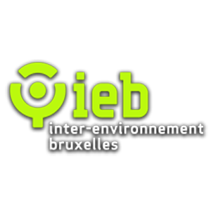 IEB-logo-Kopie